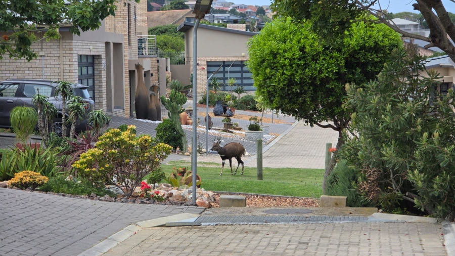 3 Bedroom Property for Sale in Dana Bay Western Cape